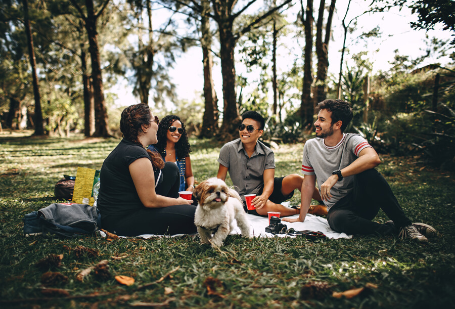 A group of people sitting in the grass and talking.